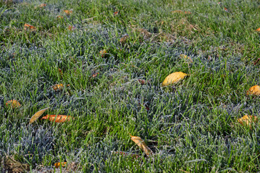 Similar image 22274741