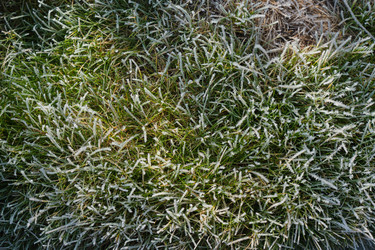 Similar image 22274742