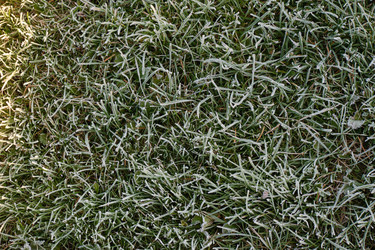 Similar image 22274743