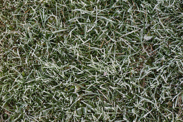 Similar image 22274744