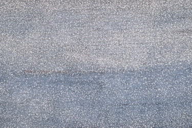 Similar image 22274750