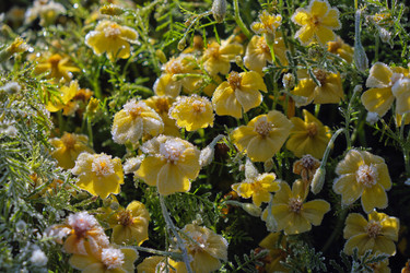 Similar image 22274753