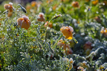 Similar image 22274754