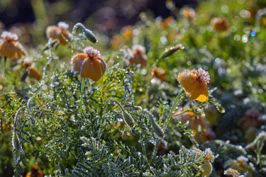 Similar image 22274755