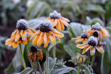 Similar image 22274756