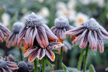 Similar image 22274757