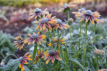 Similar image 22274759