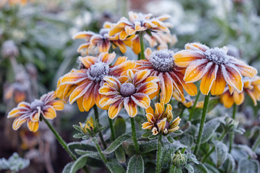 Similar image 22274760