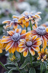 Similar image 22274761