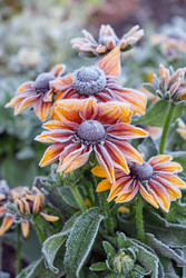 Similar image 22274762