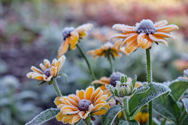 Similar image 22274763