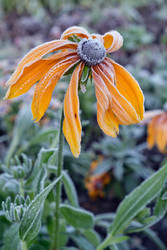 Similar image 22274764