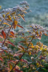 Similar image 22274765