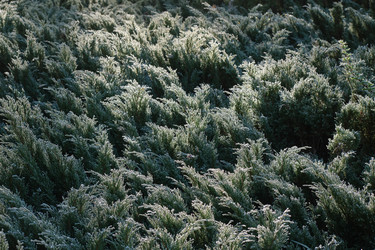 Similar image 22274766