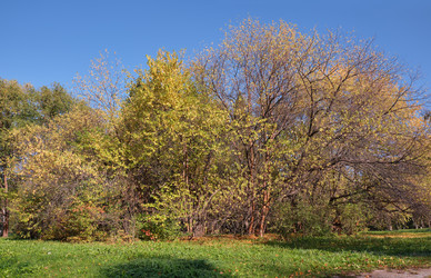 Similar image 22274767