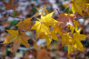 Similar image 22274769