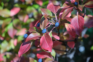 Similar image 22274770