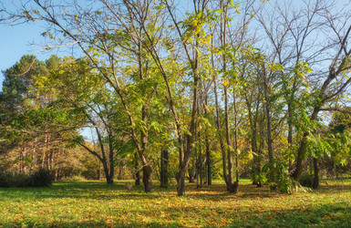 Similar image 22274771