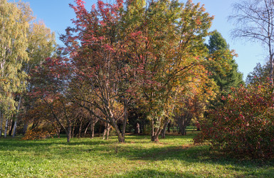 Similar image 22274772