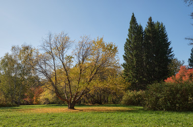 Similar image 22274773