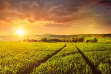 Similar image 22275742