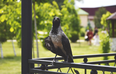 Similar image 22269042