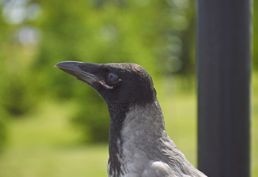 Similar image 22269043