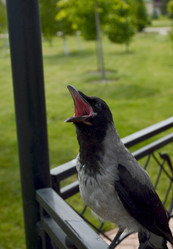 Similar image 22269044