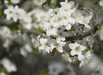 Similar image 22269058