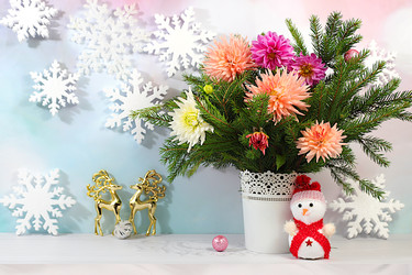 Similar image 22269072