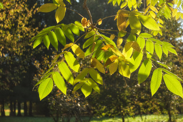 Similar image 22274777