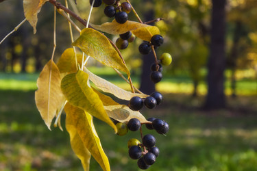 Similar image 22274778