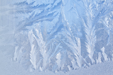 Similar image 22274779