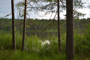 Similar image 22273092