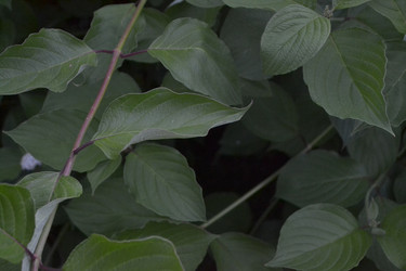 Similar image 22273093