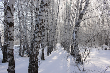 Similar image 22273209