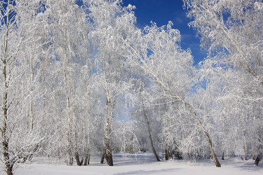 Similar image 22273210