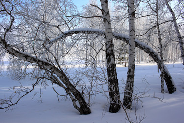 Similar image 22273211