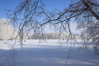 Similar image 22273212