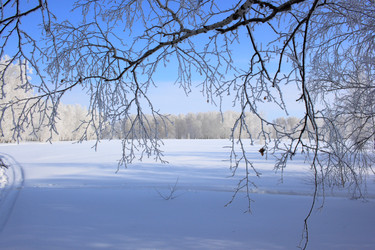 Similar image 22273213