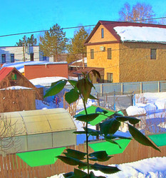 Similar image 22273214