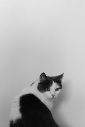 Similar image 22273096