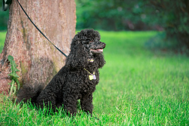 Similar image 22279682