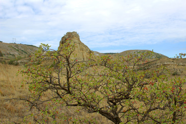 Similar image 22279683