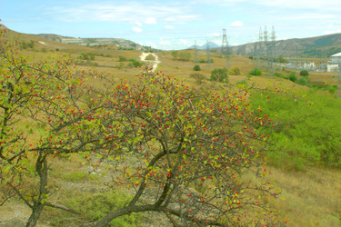 Similar image 22268707