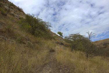 Similar image 22268709