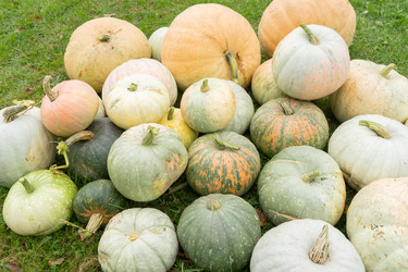 Similar image 22279916