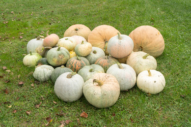 Similar image 22279917