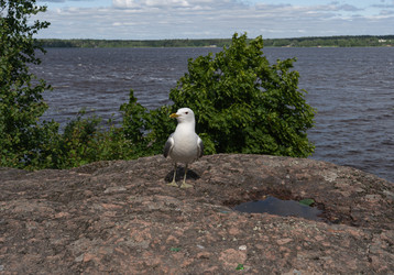 Similar image 22279918