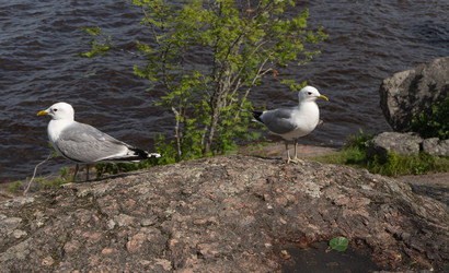 Similar image 22279921